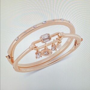 Charm Adorned Gold Tone 2 Piece Set Bangle Bracelet Set NWT